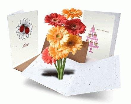 Plantable Greeting Cards - Fine Gifts La Bella Basket Company