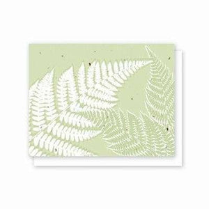 All Occasion Fern Plantable Greeting Card - 5 Pack - Fine Gifts La Bella Basket Company