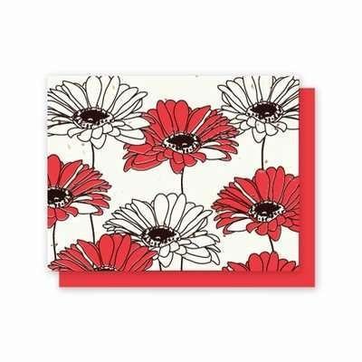 All Occasion Gerber Daisy Plantable Greeting Cards - Fine Gifts La Bella Basket Company