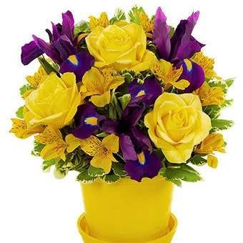  Bushel Full of Sunshine  Light up someone's day who is feeling under the weather with a delivery of the Bushel Full of Sunshine arrangement.