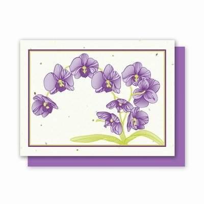 Orchid Landscape Plantable Greeting Cards- 4 Pack - Fine Gifts La Bella Basket Company