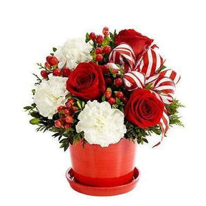 Peppermint Holiday Surprise Planter Bouquet - Fine Gifts La Bella Basket Company