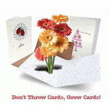 Thank You Naturals Variety Plantable Greeting Cards - 4 Pack - Fine Gifts La Bella Basket Company