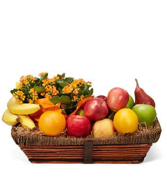 Kalanchoe and Fruit - Fine Gifts La Bella Basket Company