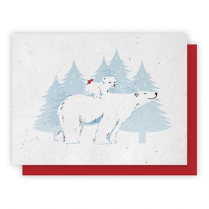 Polar Bears Plantable Greeting Cards 5 Pack