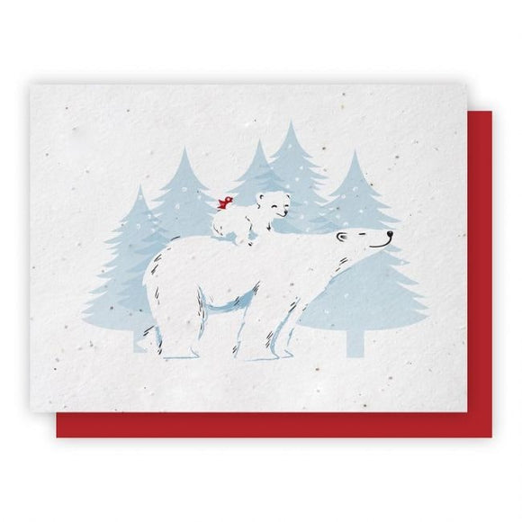 Polar Bears Plantable Greeting Cards 5 Pack