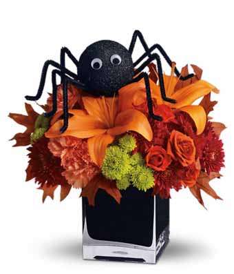 Spooky Sweet spider
