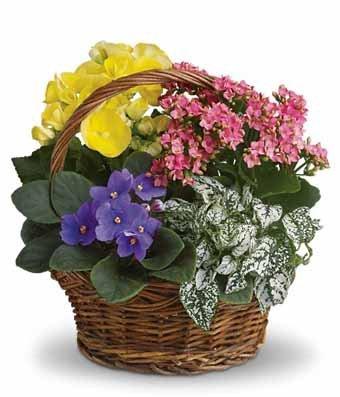 Summer Floral Basket - Fine Gifts La Bella Basket Company